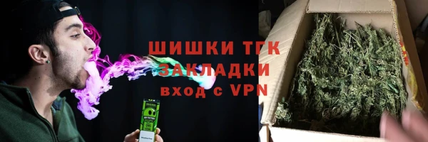 СК Алексин