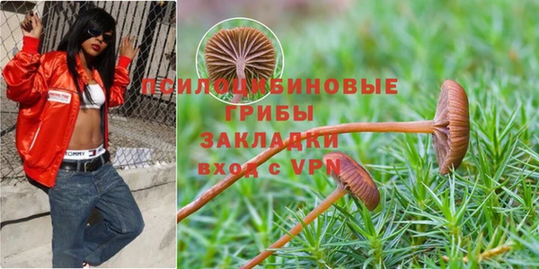 кокс Пересвет