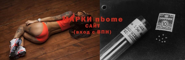 СК Алексин