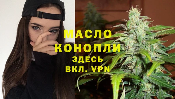 СК Алексин